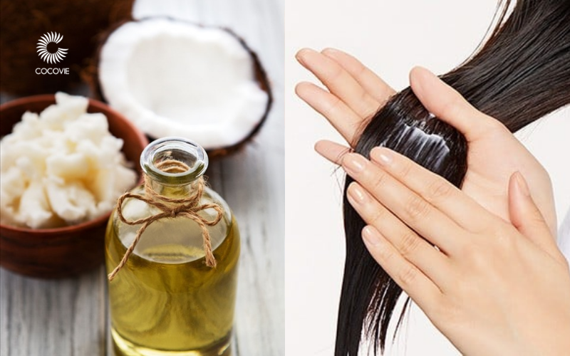 Dùng dầu dừa có làm tóc nhờn không?