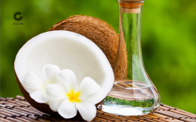 Sự khác biệt giữa dầu dừa ép lạnh và dầu dừa ép nóng? 