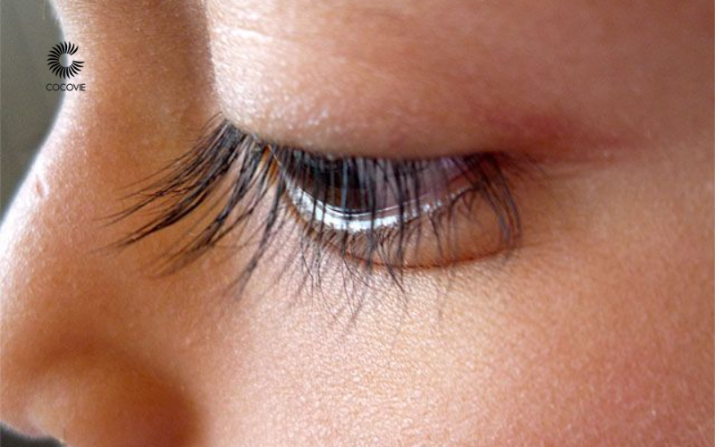 Kết hợp dầu dừa + nha đam + vitamin E