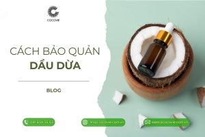Cách bảo quản dầu dừa dùng lâu và mẹo nhận biết khi dầu hư