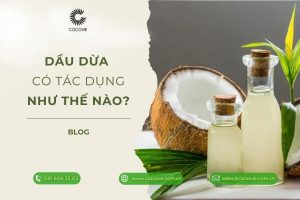 Dầu dừa có tác dụng như thế nào