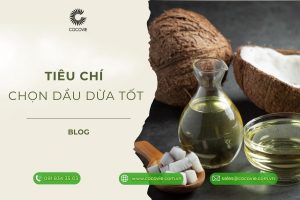 Khám phá 5 tiêu chí chọn dầu dừa tốt nhất hiện nay