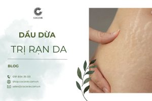 7 công thức dầu dừa trị rạn da và cách bôi cho mẹ bầu hiệu quả