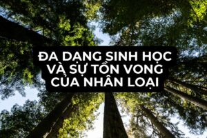 Đa Dạng Sinh Học Và Sự Tồn Vong Của Nhân Loại